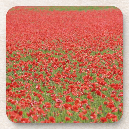 Poppies - duizenden! bier onderzetter (Voorkant)
