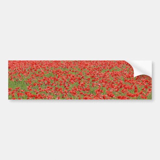 Poppies - duizenden! bumpersticker (Voorkant)