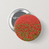 Poppies - duizenden! ronde button 5,7 cm (Voorkant /achterkant)