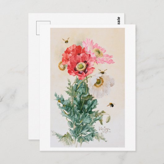 Poppies en bijen schilderen  Briefkaart (Voorkant / Achterkant)