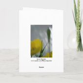 Poppies en shade 4 Floral Photography Greeting C Kaart (Achterkant)