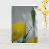 Poppies en shade 4 Floral Photography Greeting C Kaart (Gele Bloem)