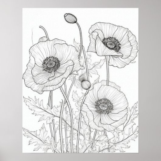 Poppies Flowers Coloring Poster voor volwassenen (Voorkant)