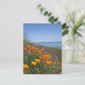 Poppies-gebied Briefkaart (Staand voorkant)