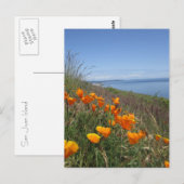 Poppies-gebied Briefkaart (Voorkant / Achterkant)