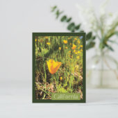 Poppies-gebied Briefkaart (Staand voorkant)