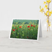 Poppies-gebied Kaart (Gele Bloem)