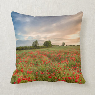 Poppies-gebied Kussen