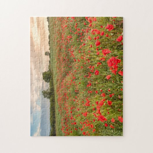 Poppies-gebied Legpuzzel (Verticaal)