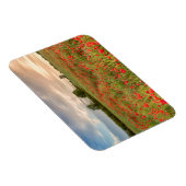Poppies-gebied Magneet (Rechterzijde)