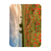 Poppies-gebied Magneet (Verticaal)
