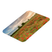 Poppies-gebied Magneet (Linkerzijde)