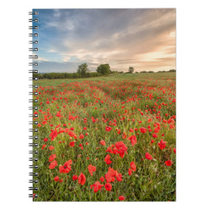 Poppies-gebied Notitieboek