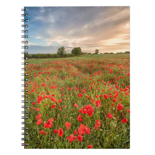 Poppies-gebied Notitieboek (Voorkant)
