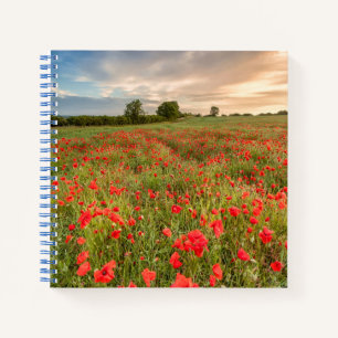 Poppies-gebied Notitieboek