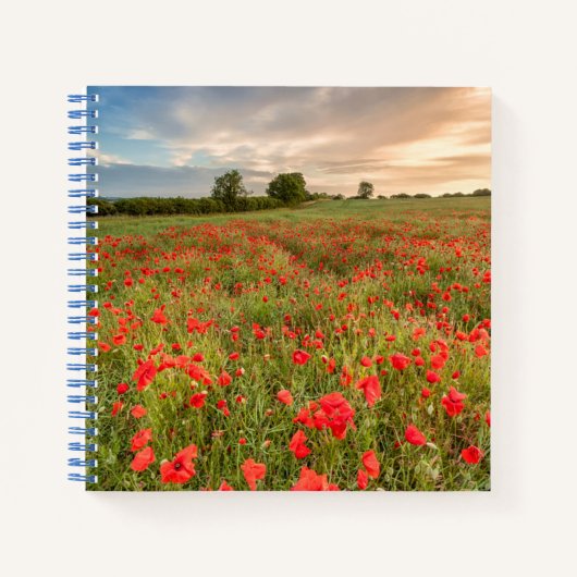 Poppies-gebied Notitieboek (Voorkant)