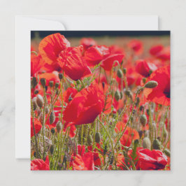 Poppies Groeten Kaart