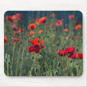 Poppies in a Field Muismat (Voorkant)