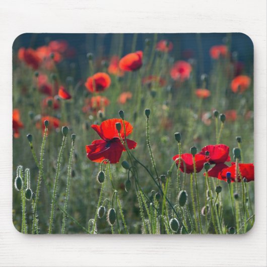 Poppies in a Field Muismat (Voorkant)