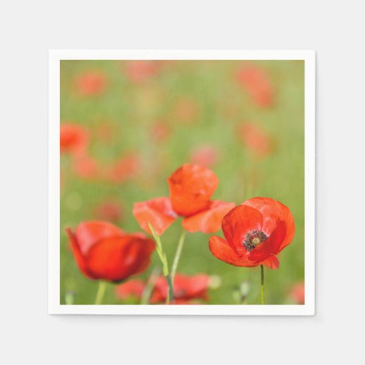 Poppies in een papaver veld papier servetten (Voorkant)