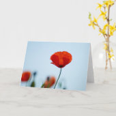 Poppies in een veld in Nidd Kaart (Gele Bloem)