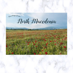 Poppies in het Briefkaart van Skopje Noord-Macedon