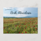 Poppies in het Briefkaart van Skopje Noord-Macedon (Voorkant)