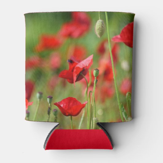 Poppies in veld sluiten blikjeskoeler (Voorkant)