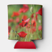 Poppies in veld sluiten blikjeskoeler (Achterkant)