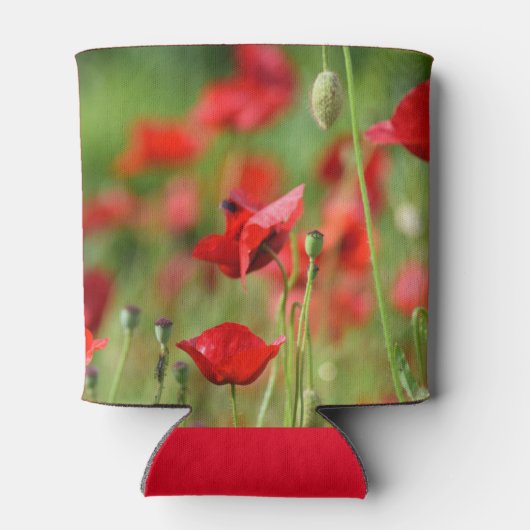 Poppies in veld sluiten blikjeskoeler (Achterkant)