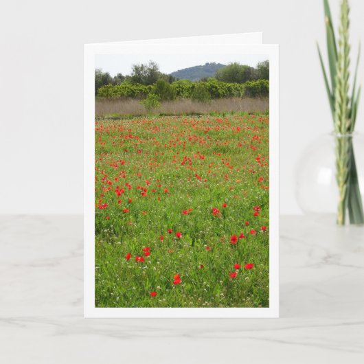 Poppies in Veldportret Kaart (Voorkant)