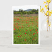 Poppies in Veldportret Kaart (Gele Bloem)