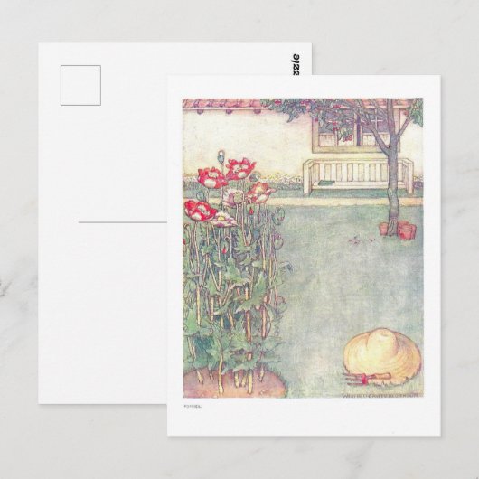 Poppies  Kinderen Illustratie Briefkaart (Voorkant / Achterkant)