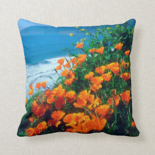 Poppies langs de kust van de Stille Oceaan nabij d Kussen