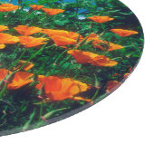 Poppies langs de kust van de Stille Oceaan nabij d Snijplank (Hoek)