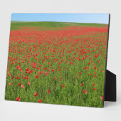 Poppies levend! fotoplaat (Zijkant)
