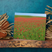 Poppies levend! fotoplaat (Zijkant)