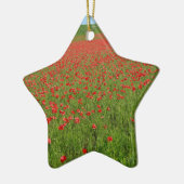 Poppies levend! keramisch ornament (Links)