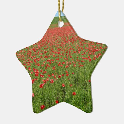 Poppies levend! keramisch ornament (Links)