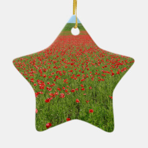 Poppies levend! keramisch ornament