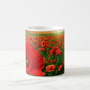 Poppies mok