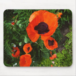 Poppies Mousepad Muismat