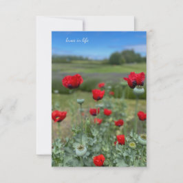 Poppies & Poppy Heads Notitiekaartje