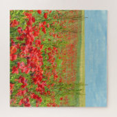Poppies Puzzle-gebied Legpuzzel (Horizontaal)