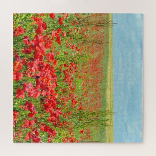 Poppies Puzzle-gebied Legpuzzel (Horizontaal)