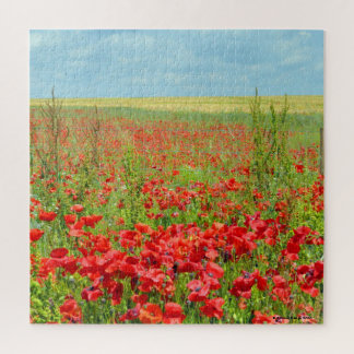 Poppies Puzzle-gebied Legpuzzel