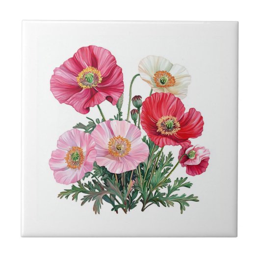 Poppies-tegel Tegeltje (Voorkant)