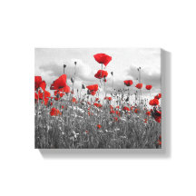 Poppies Zwart, Wit en Rood