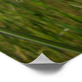 POPPIËT Oranje papaverbloemen Kunstkunst Prints om (Hoek)