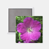 Poppin roze magneet (Voorkant / Achterkant)